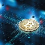 The Role of Crypto Exchanges in the Future of Pollination Service Tokens